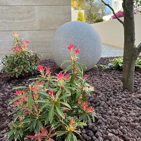 Апартаменти Gala'pe